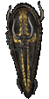 Ghaa's Guide
