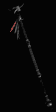 Arcanna's Deathwand